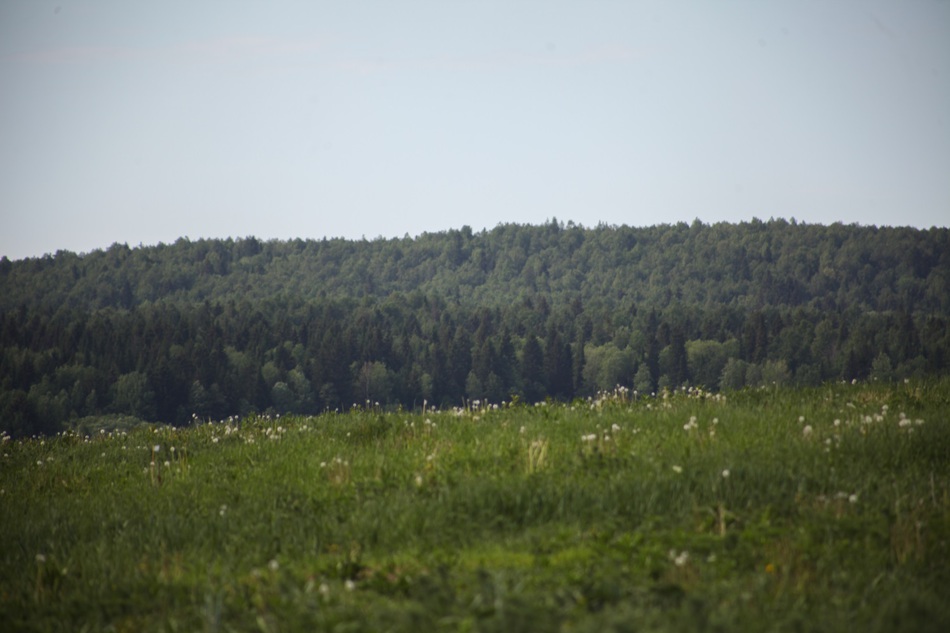 Туристические маршруты Усьвы, Чусовой и Вишеры могут объединить в природный парк