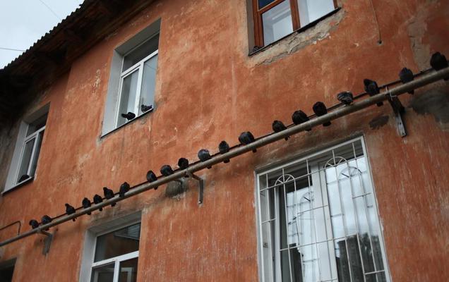 В 2016 году в Перми возбуждено 18 уголовных дел в отношении управляющих компаний