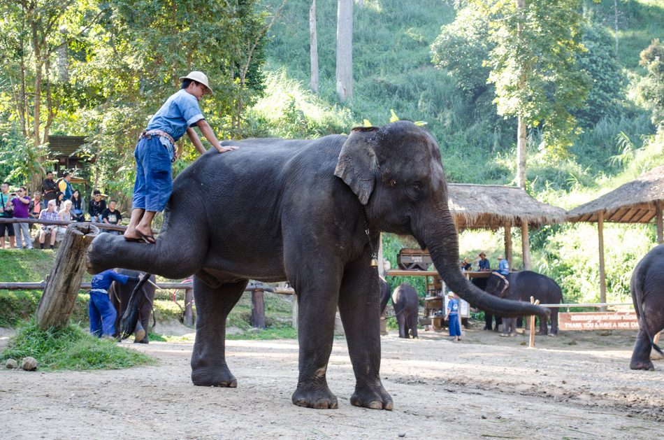 Крюк до Таиланда