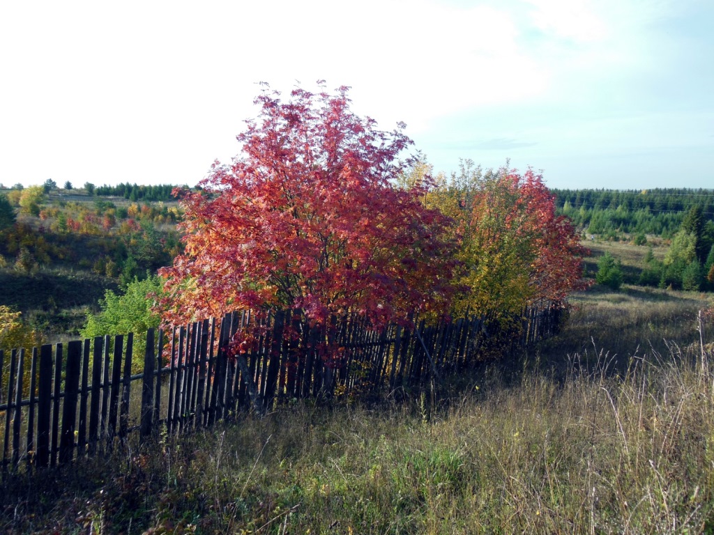 Метеорологи обещают пермякам дождливую неделю и заморозки
