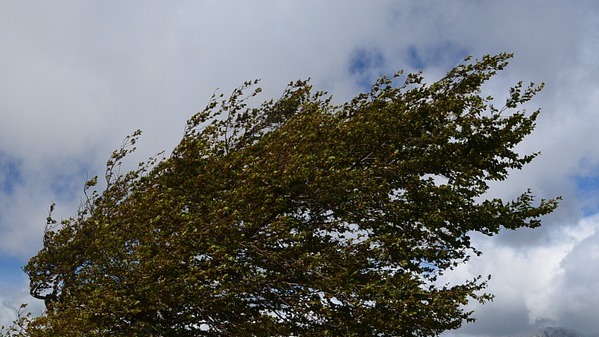В Прикамье вновь объявлено штормовое предупреждение: ожидаются ливни, грозы и сильный ветер