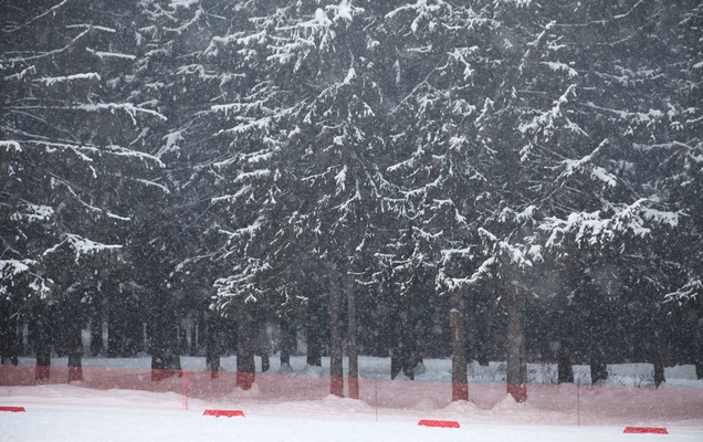 ​В Прикамье прошел ледяной дождь