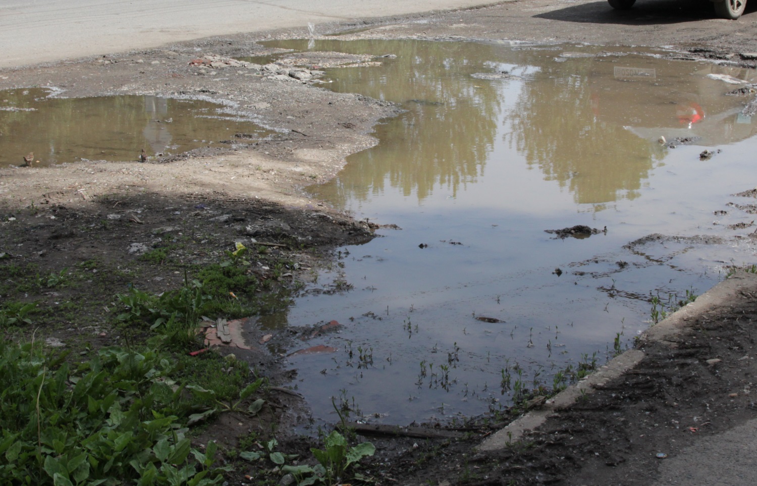 Жители Индустриального района добились обустройства тротуара на ул. Левченко через прокуратуру