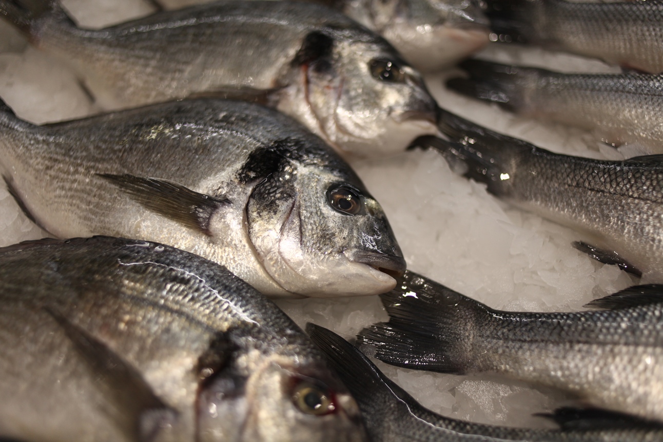 В Пермском крае изъяли свыше 700 килограммов некачественной рыбы