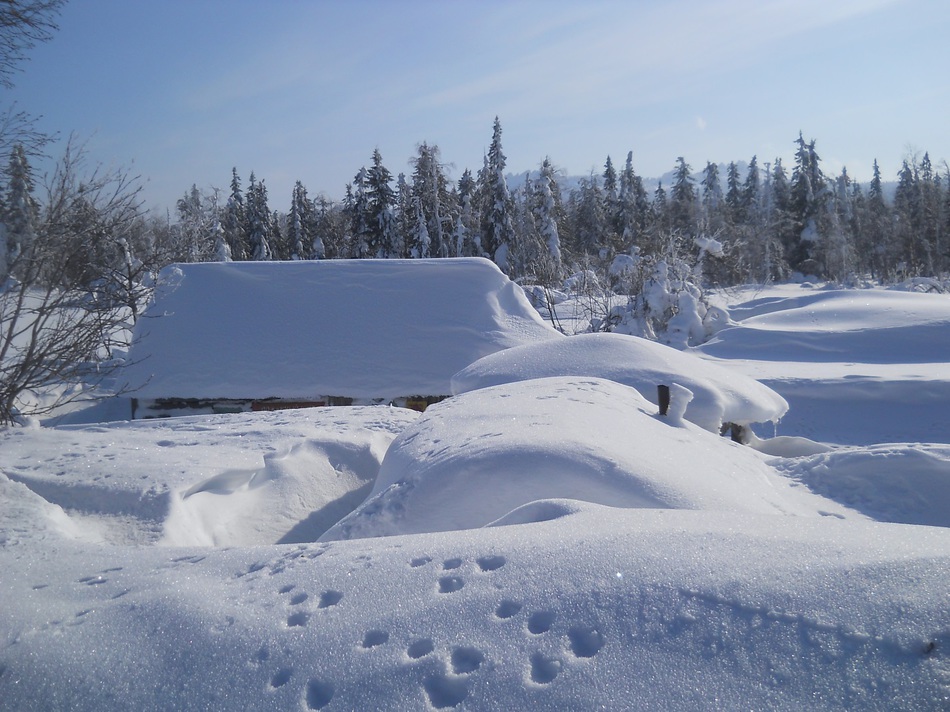 В заповеднике «Басеги» проснулся один из старейших вулканов Урала