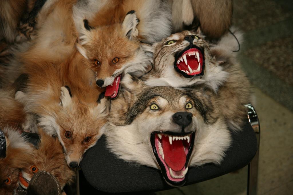 ​Показали зубы. Обзор свежего номера Business Class