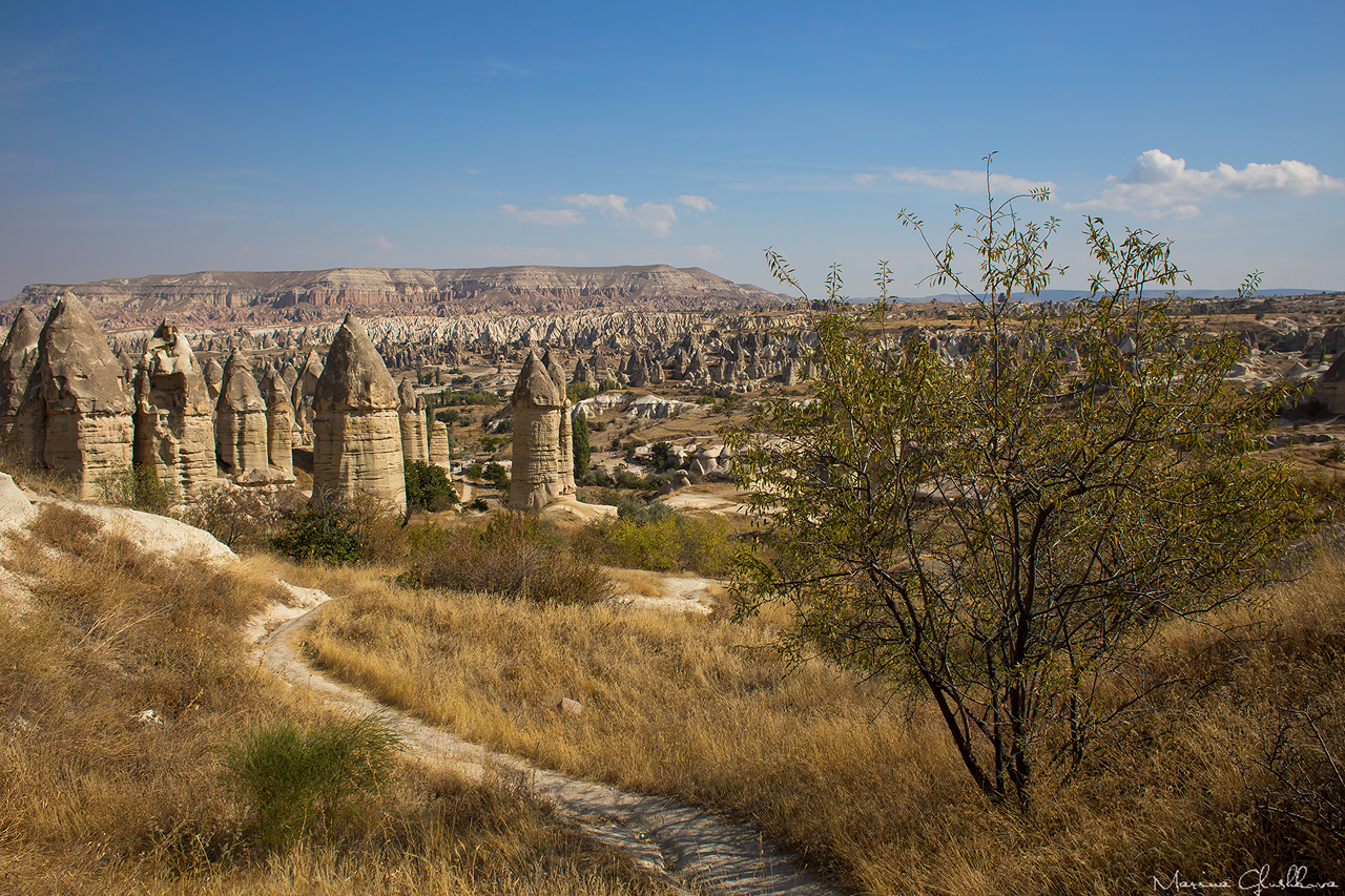 «Пакет» клином не сошелся