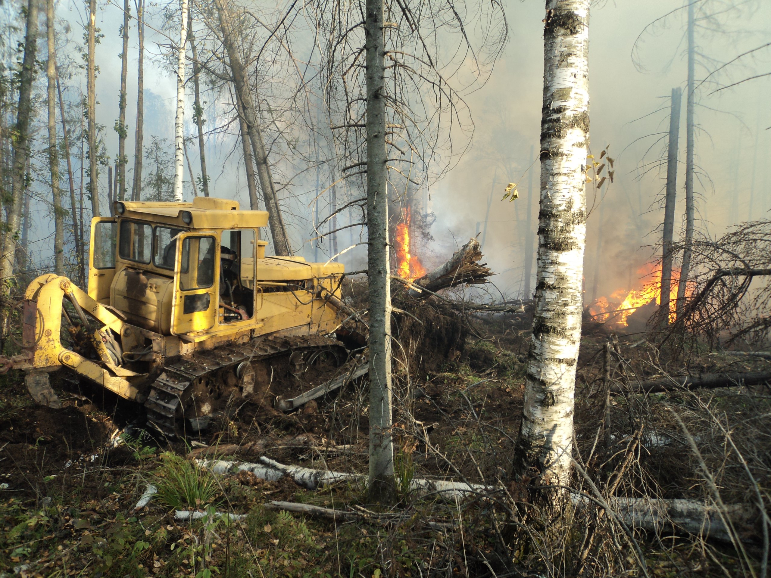 ​В Чайковском районе локализован пожар, охвативший 2,7 га леса