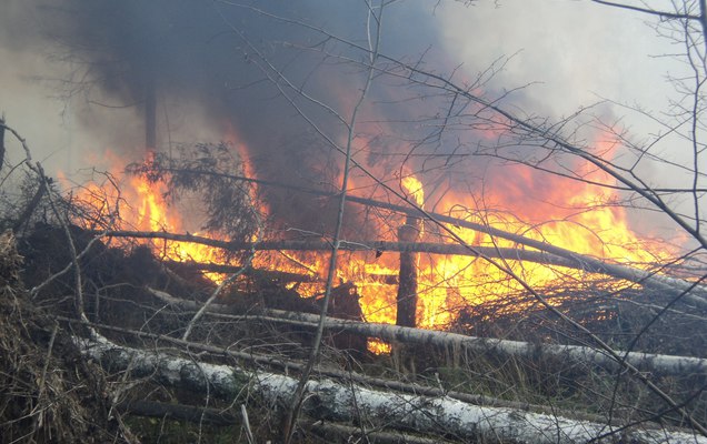 «Лесной диспетчер» будет бороться с пожарами в Пермском крае