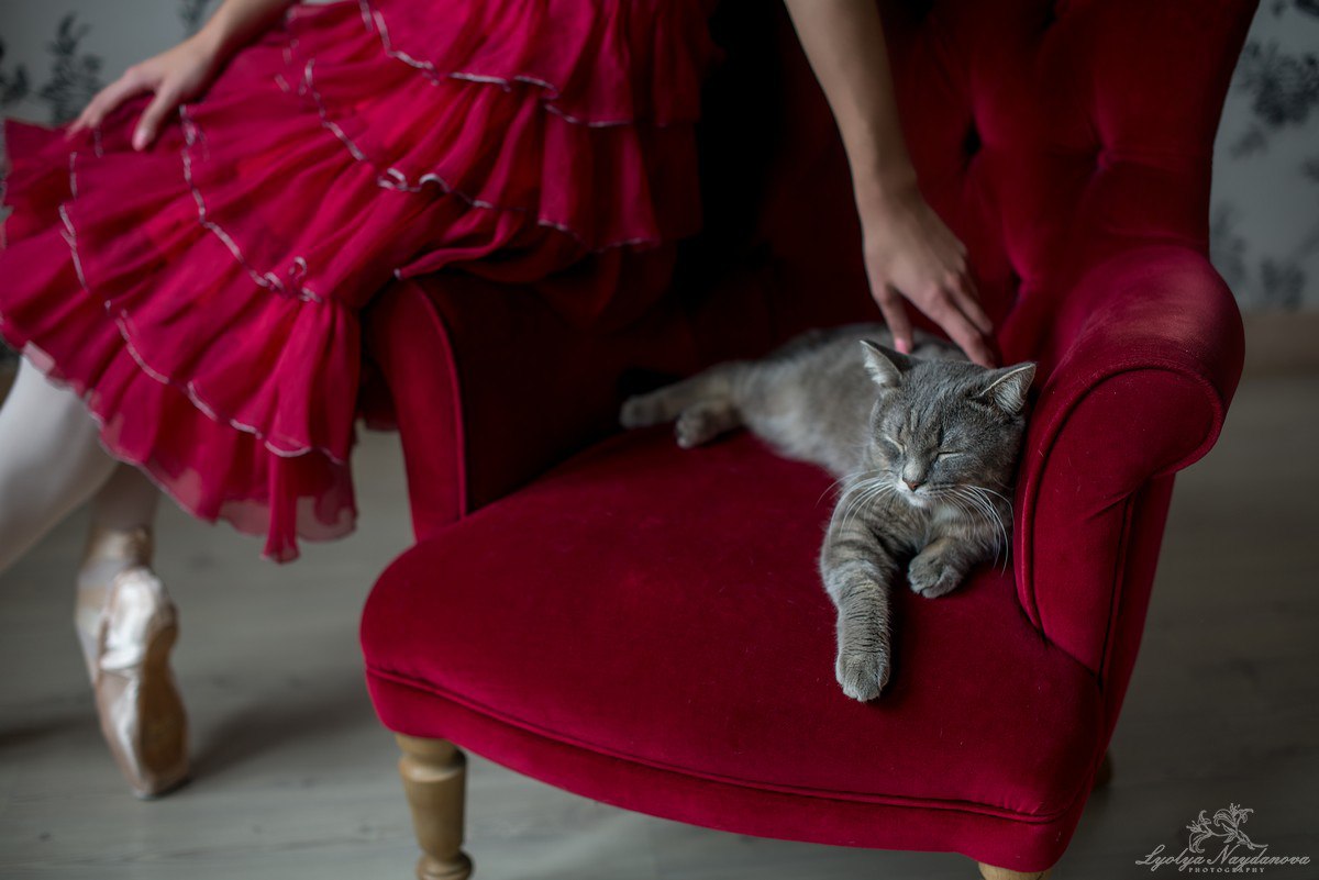 Артисты пермского оперного театра сфотографировались с бездомными кошками