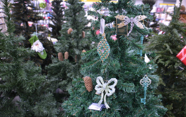 В Перми открылись первые елочные базары
