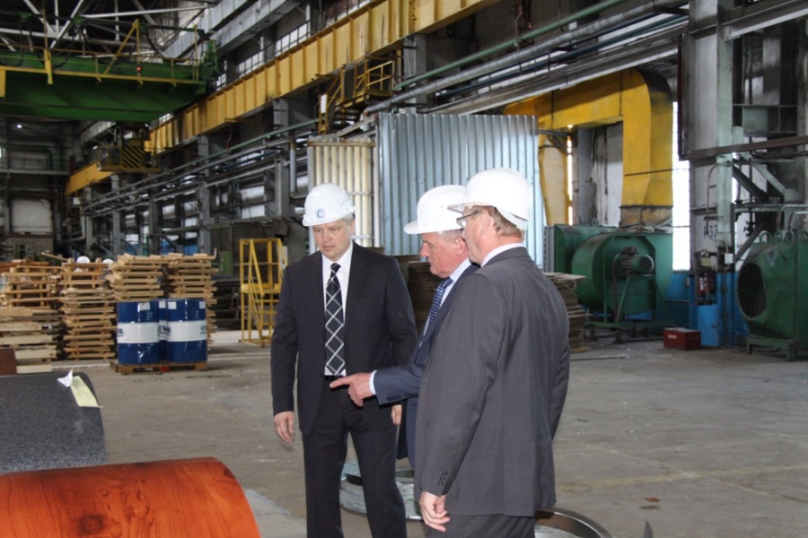 Экс-совладелец «Лысьвенской металлургической компании» Инесса Мирзоева требует с общества 336 млн рублей