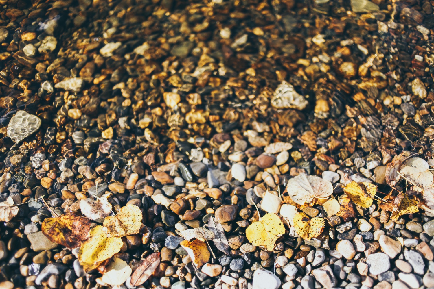 27-28 сентября в Пермском крае ожидаются температурные рекорды