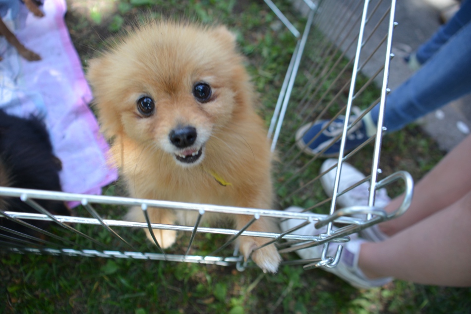 Полезный отдых