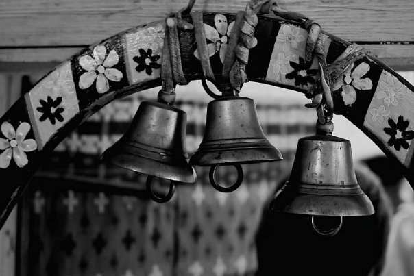 Общественность встала на защиту Чусовского этнопарка