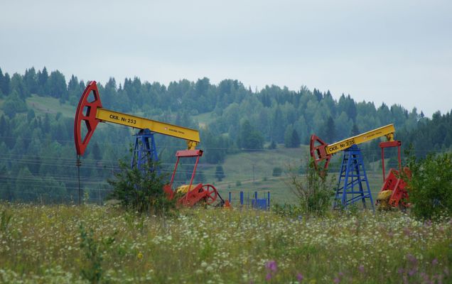 В Чернушинском и Оханском районах на торги выставили 3 нефтяных участка