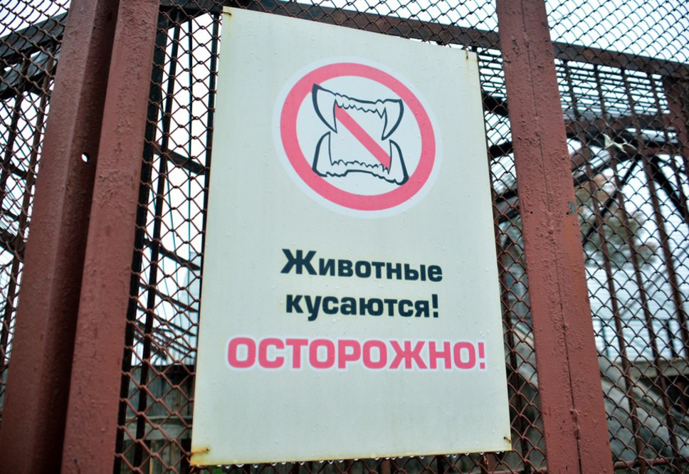 В пермском зоопарке появился аудиогид