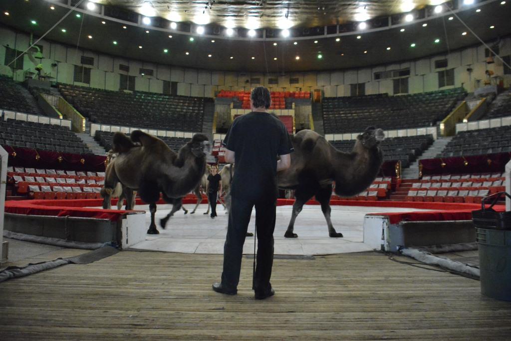 Налоговая служба взыскала с Пермского цирка более полумиллиона рублей