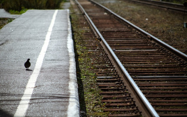 Объем перевозки лома черных металлов в Прикамье сократился на 30%