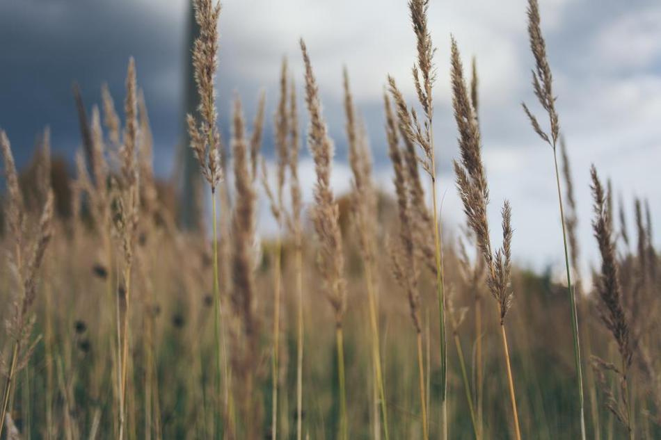 Когда на горе свистнет