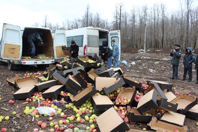 В Перми 2,2 тонны яблок раздавили бульдозером