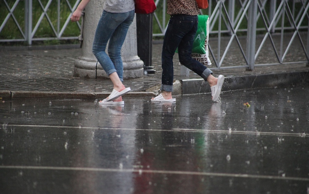 ​МЧС предупредило пермяков о ливнях, грозах и шквалистом ветре