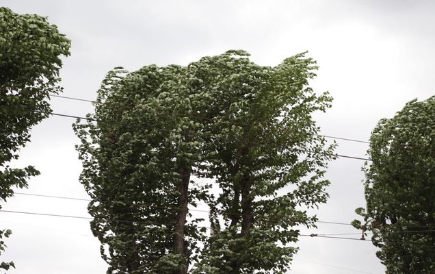 4 июля в Пермском крае пройдут сильные дожди с грозами
