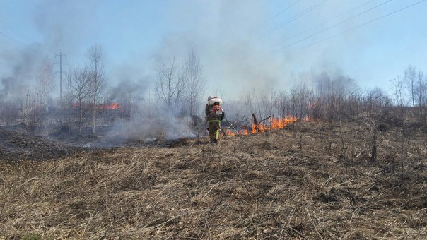 В Прикамье спасатели в очередной раз потушили горящую траву