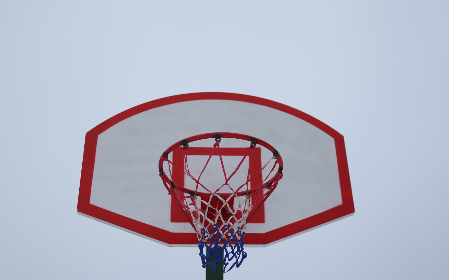 Новым руководителем городского комитета по физкультуре и спорту станет Дмитрий Онорин