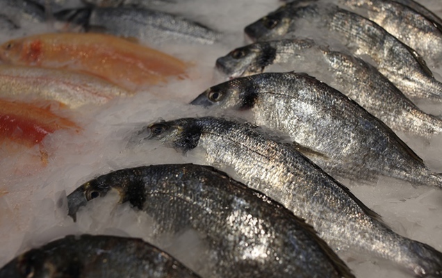 ​В Пермском крае на торги выставлено 18 участков для промышленного рыболовства