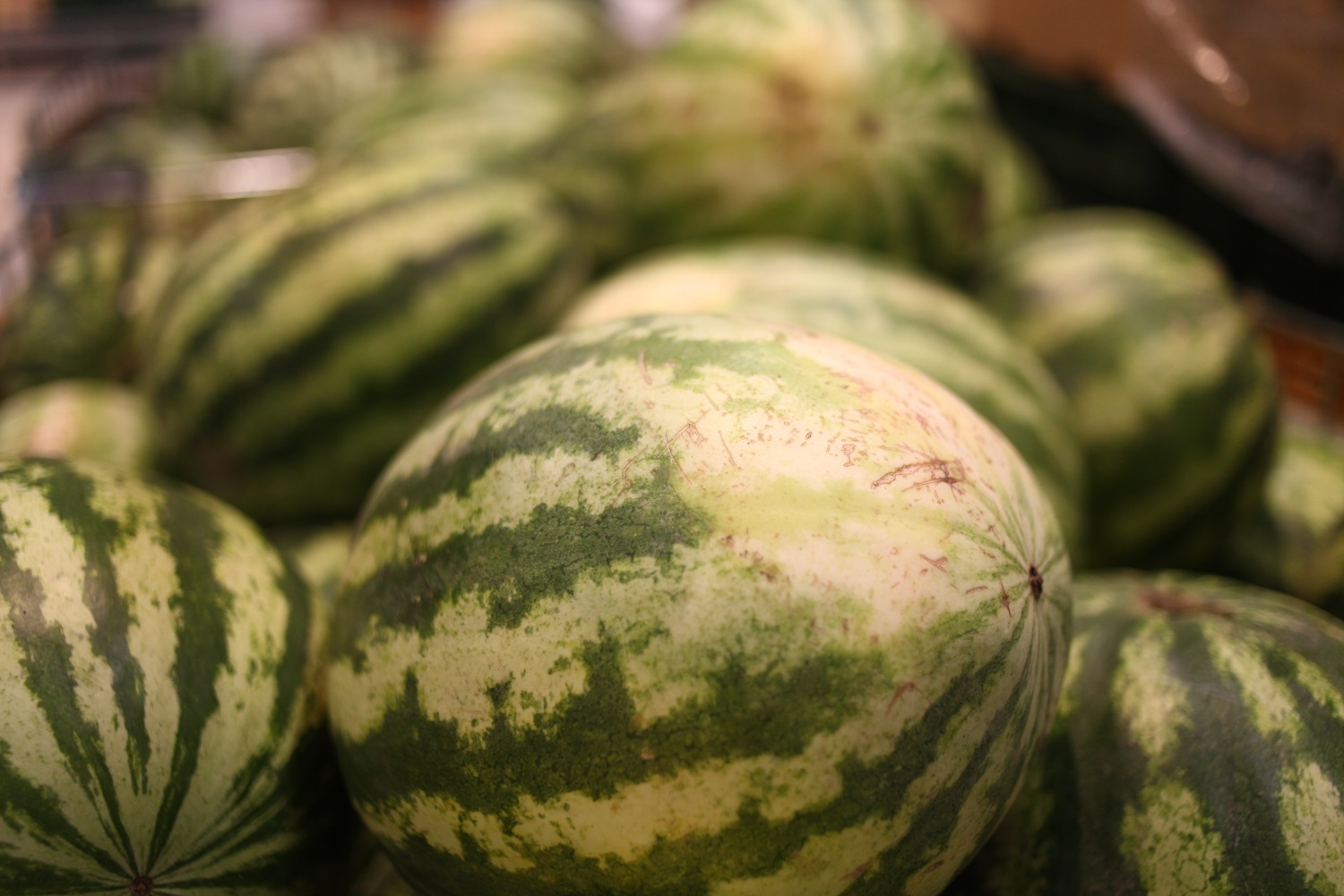 Полицейские изъяли у торговцев на Восточном обходе более 1,5 тонн арбузов и дынь