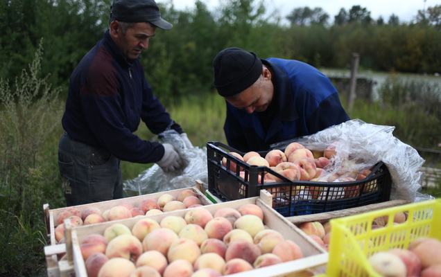 ​Приток трудовых мигрантов в Пермский край за год вырос на 11 %
