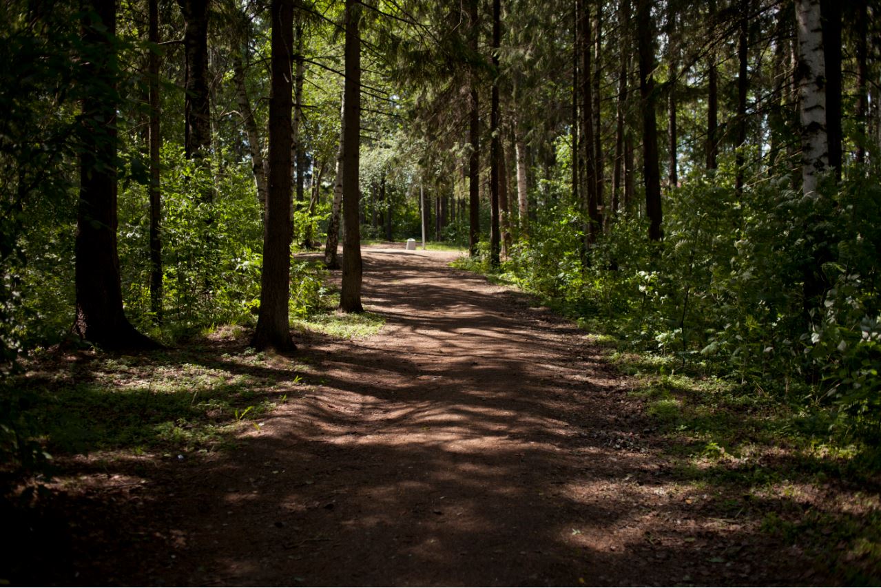 В Перми составили карту благоустроенных пикниковых зон