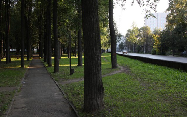 Прививки от клещевого энцефалита поставили более 70 тысяч пермяков