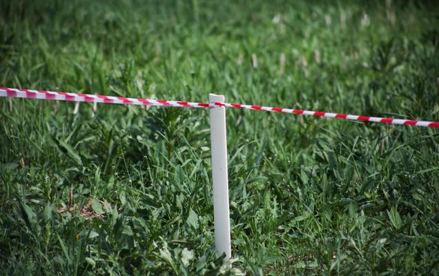 На торги выставлено более 300 гектаров земли компании «Ашатли-Маркет»