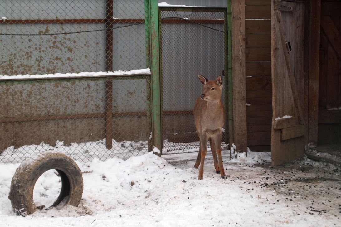 ТехЗооСтрой