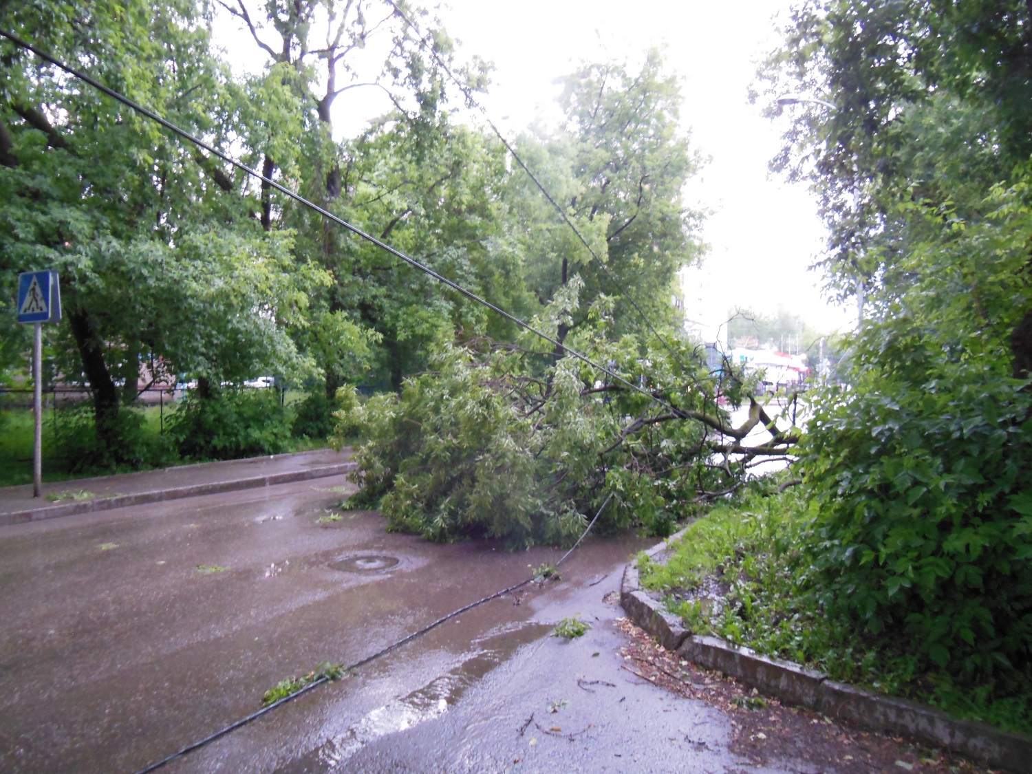МЧС: неблагоприятные погодные явления в Перми могут повториться сегодня