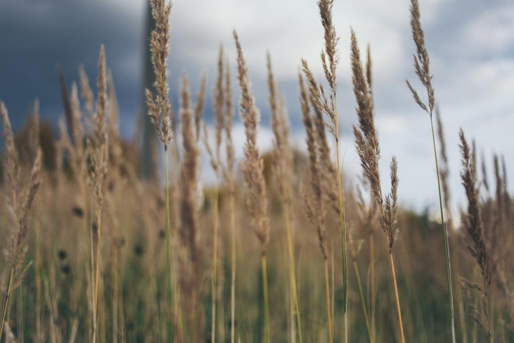 Когда на горе свистнет