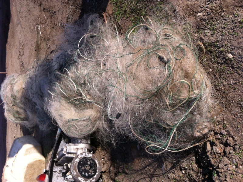 В речном порту Перми задержали браконьеров со 180 кг рыбы