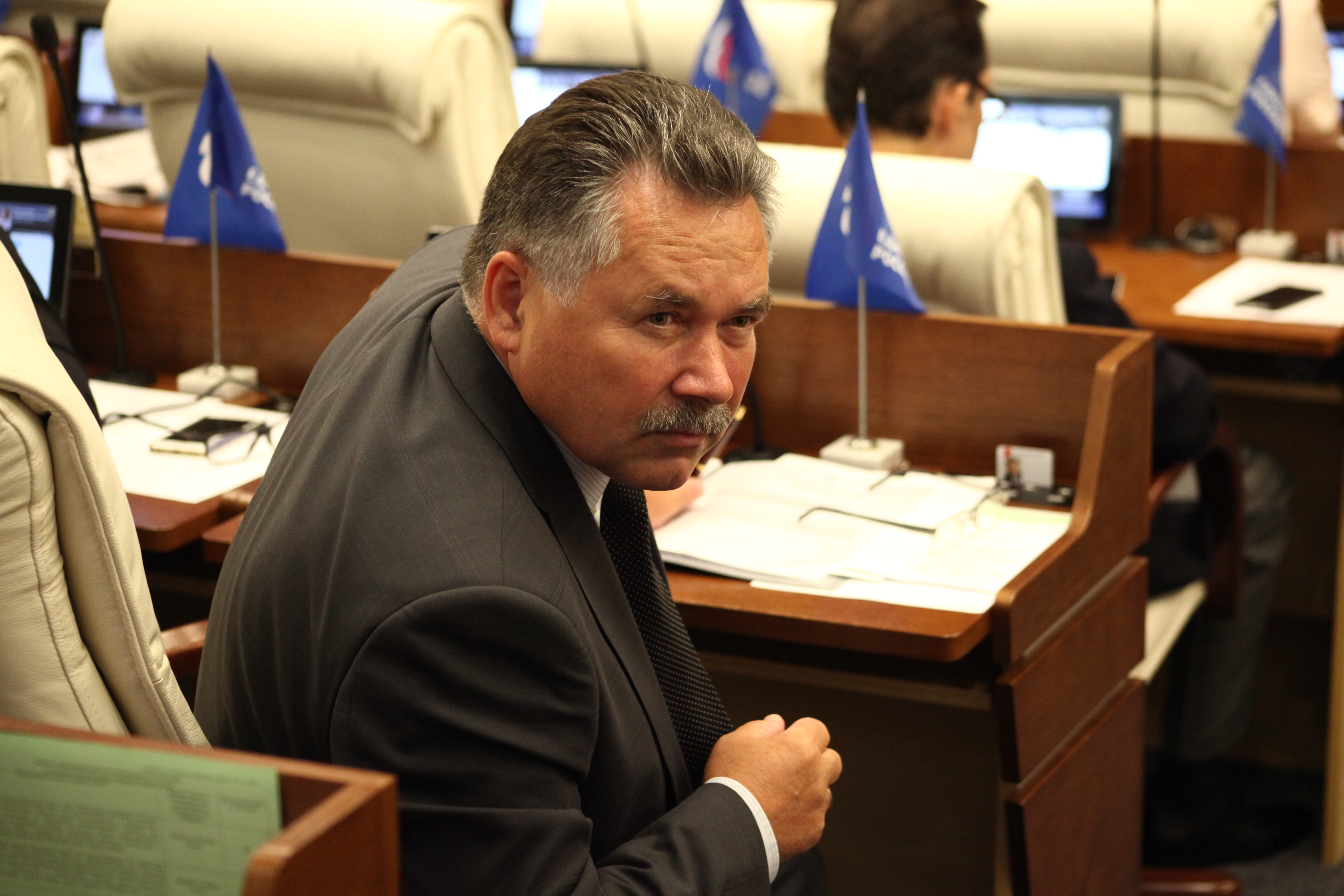 Звездочкой упала