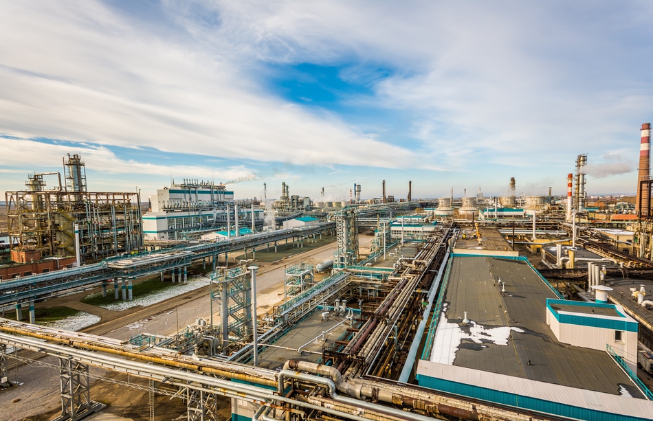 При поддержке СИБУРа в Перми реализован проект «Зеленые символы Пермского края»