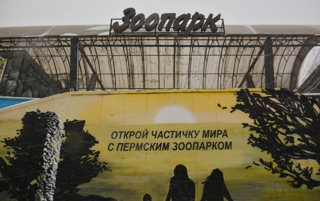 Работа Зоопарка В Новогодние Праздники Работа Зоопарка В Новогодние Праздники