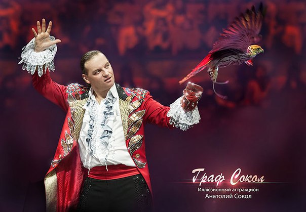 Потерявшийся дрессированный сокол может находиться в пермском зоопарке