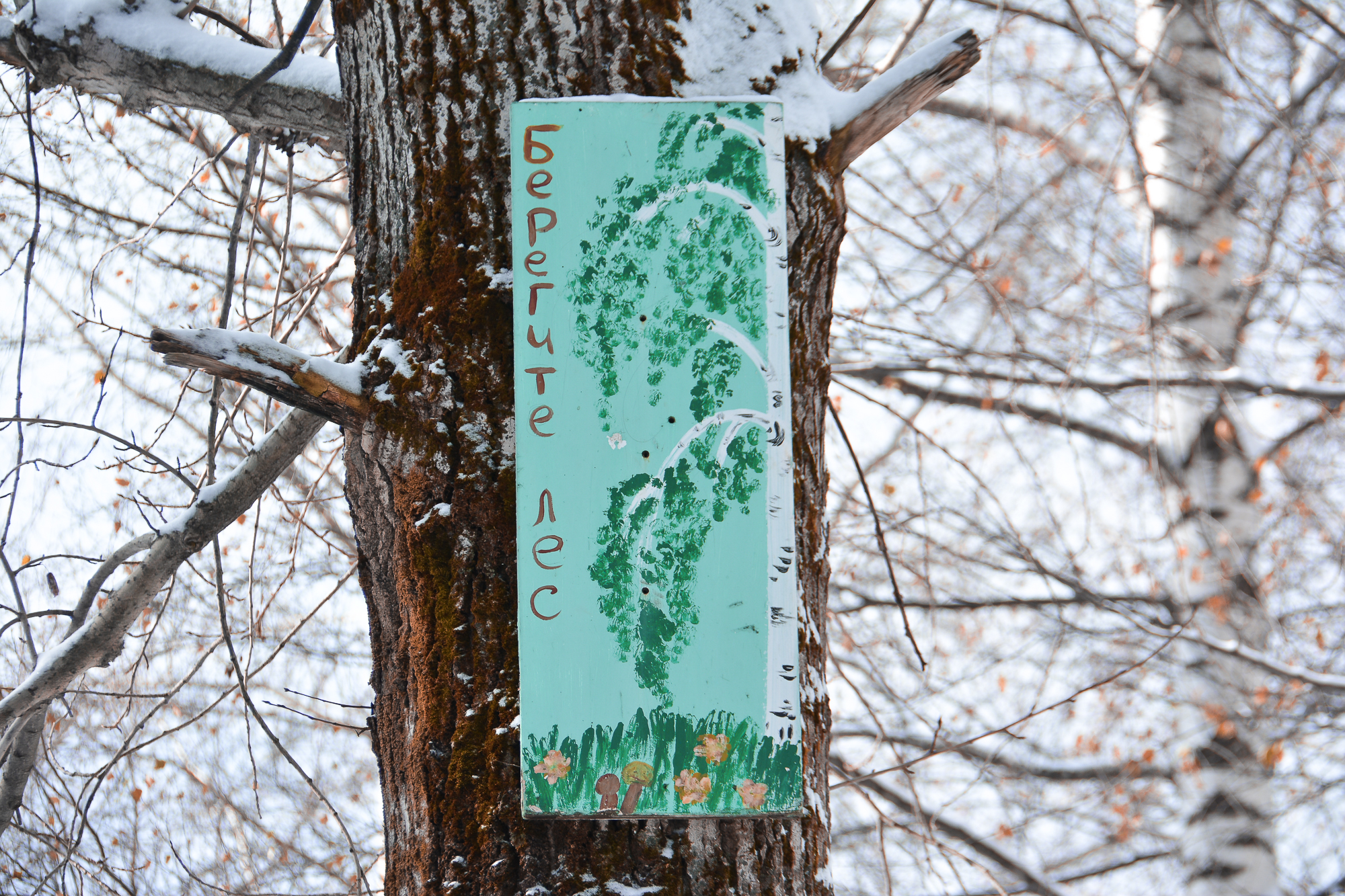 Предприятия Прикамья на 8% увеличили расходы на охрану окружающей среды