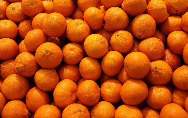 Возвращение нелегалов