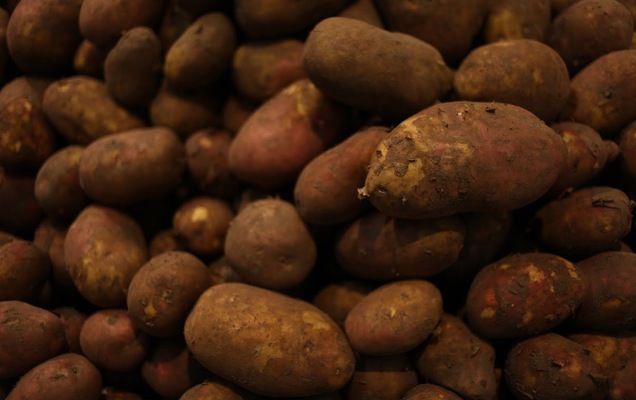 ​Пермские сельхозпредприятия нарастили объемы реализации всех видов продукции, кроме овощей