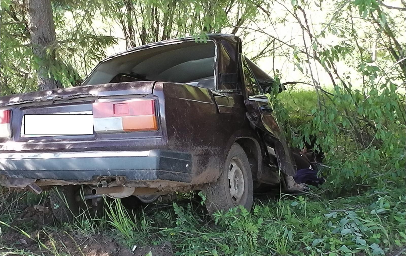 В Пермском крае водитель без прав врезался в дерево, пассажир погиб