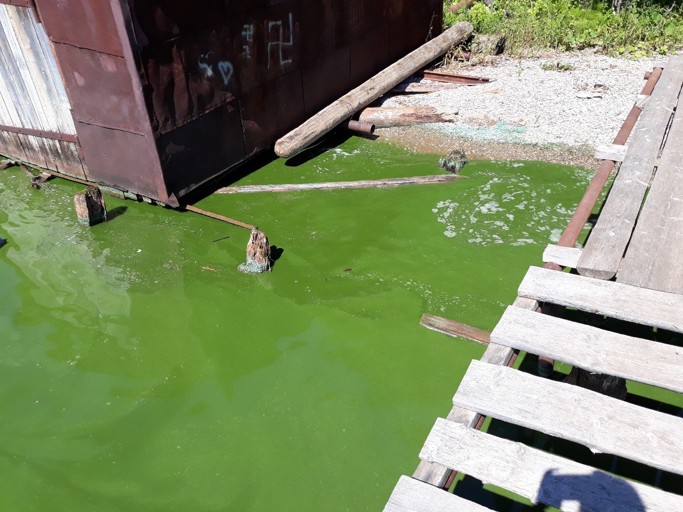 Зеленая вода в реке напугала жителей Перми