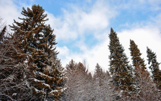 В Прикамье появится заповедный парк за 23 млн рублей