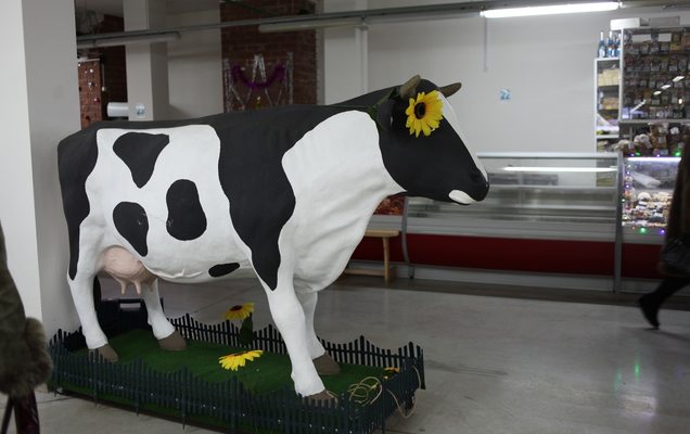 ​Роспотребнадзор: 6,6% молочных продуктов в Прикамье не соответствуют требованиям